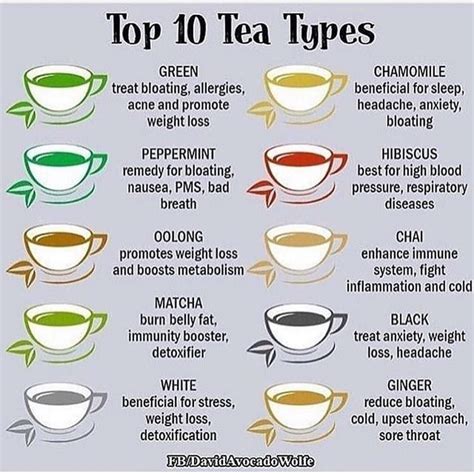 These Teas Are A Good Beginners Guide But There Are Thousands Of Herbs Out There With A Variety