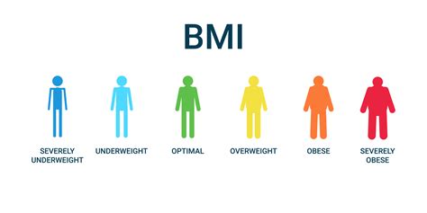 Bmi Categories Chart Body Mass Index And Scale Mass People Severely