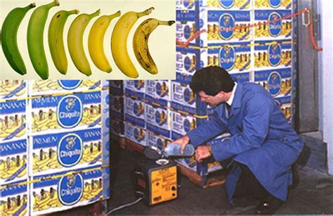 Ethylenehtml Bananaripening