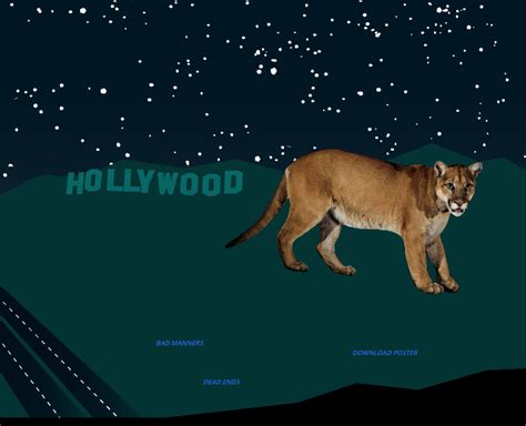 What Emily Thinks Mountain Lions Of La The True Hollywood Story