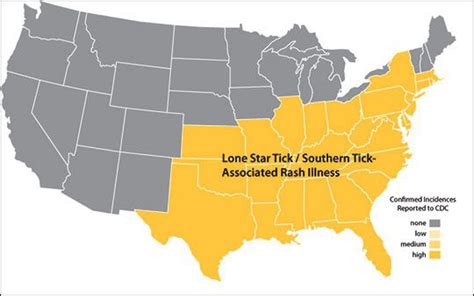 With 25 Species Of Ticks Lurking In Pennsylvania Which Ones Are The