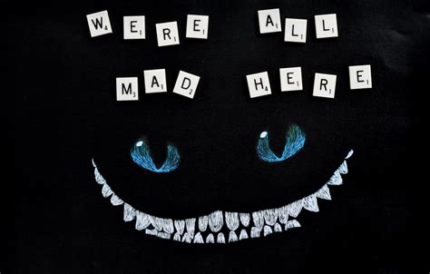 63 Cheshire Cat Quotes We Re All Mad Here Carmod