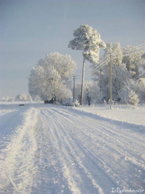 Winter Beauty In Lithuania Lithuania Travel Lithuania Lithuanian