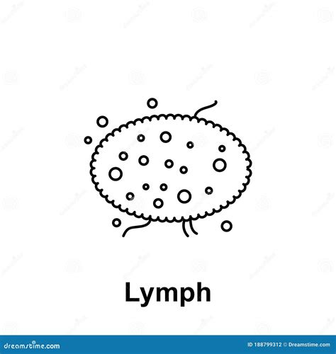 Lymph Organ Icon Element Of Human Organ Icon Thin Line Icon For