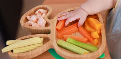 A Guide To Baby Led Weaning Sr Nutrition