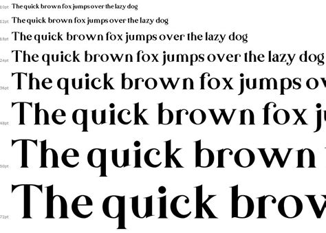 Basics Serif Font By Youthlabs Studio Fontriver