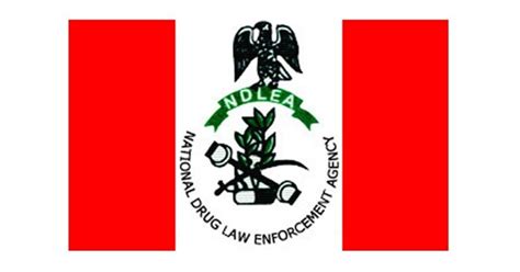 New Things To Know About Ndlea Kiddies Africa News