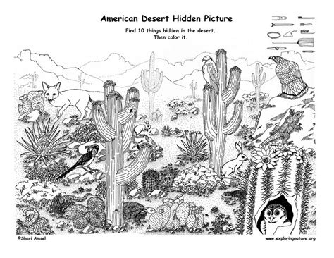 American Desert Hidden Picture