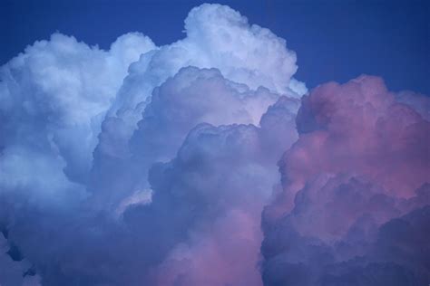 무료 이미지 자연 흐린 분위기 낮 날씨 적운 푸른 하늘 구름 핑크 구름 기상 현상 6000x4000