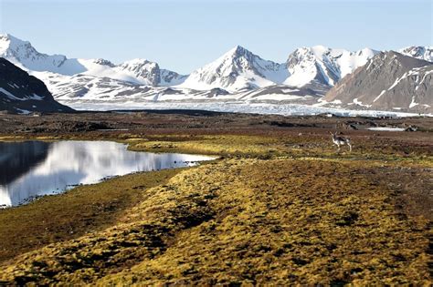 Top 5 Reasons To Visit Svalbard Trailfinders