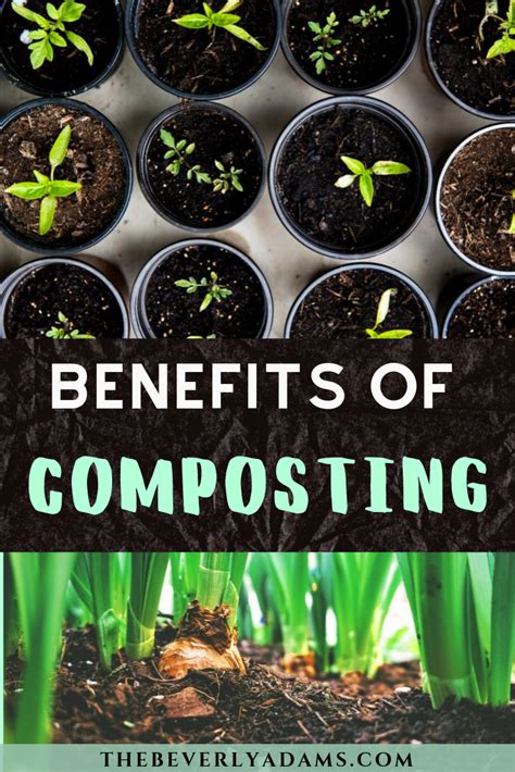 Benefits Of Composting The Beverly Adams