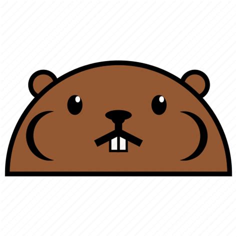 Animal Beaver Binatang Ikon Rounded Warna Icon Download On