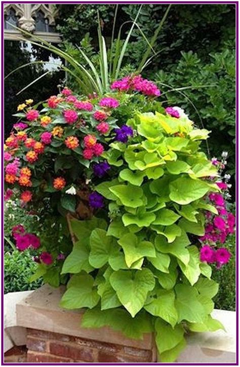 27 Beautiful Container Gardens Ideas 00008 Beautiful Flowers Garden