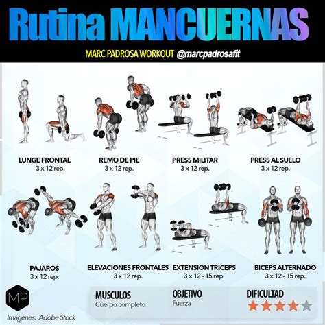 Best Pictures Rutina Mancuernas Casa Rutina De Musculacion En Casa O El Gym De Pesas Libres