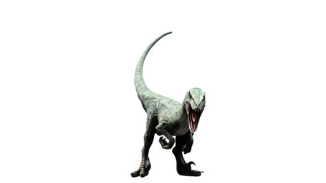 Jurassic World - Delta (Raptor)! by Camo-Flauge on DeviantArt