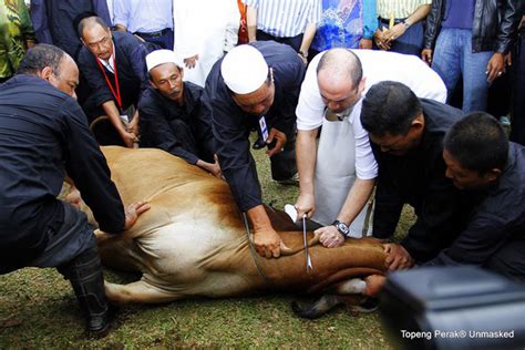 Semangatmu dalam berkurban, harapanmu akan ampunan, dan keteguhanmu dalam beriman, itulah makna idul adha. Hari Raya Aidiladha