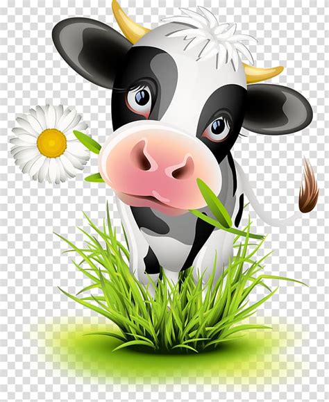 Cattle Calf Cartoon Illustration Cow Cow Standing On Grasses With