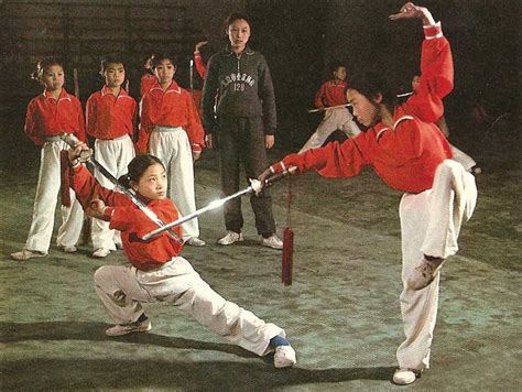 See more ideas about chinese films, martial arts, martial. smiling faces sometimes: Chinese Martial Arts. (5)