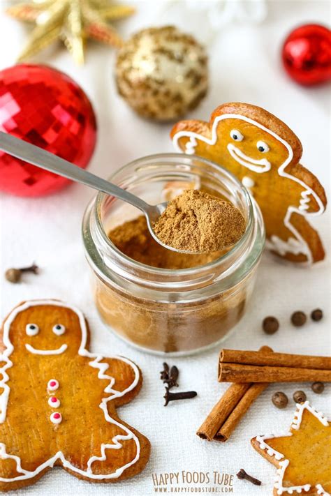 Homemade Gingerbread Spice Mix Happy Foods Tube