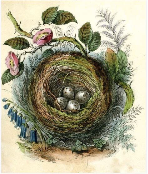 No Copyright Easter Nest Image That Rebecca Used For Her Handmade