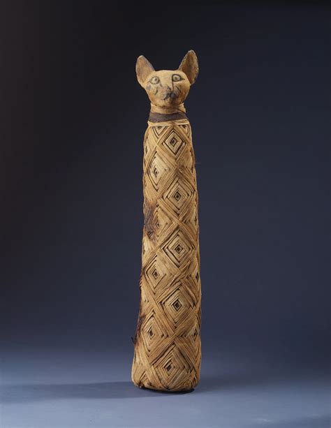 Journey To Ancient Egypt In Return Of The Cat Mummy