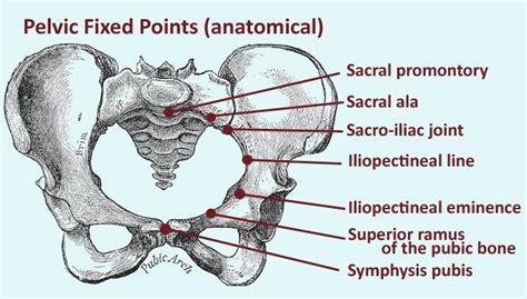 Snapping Hip Coxa Saltans Knee And Sports Orthobullets