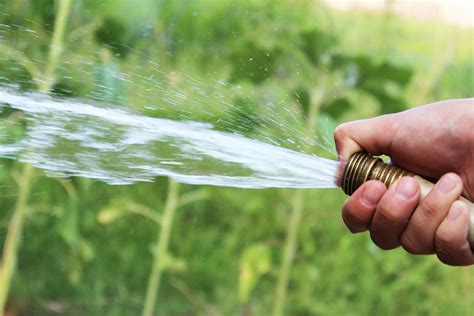 Lawn Watering Guidelines Best Time To Water Lawns And How Lawn Goose