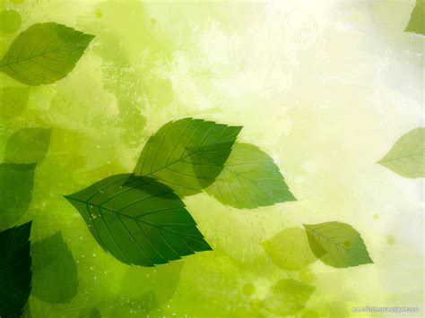 Hdr Green Leaves Background Hd Slide Backgrounds