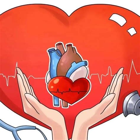 世界心脏日 这6种有氧运动能强心血管功能太极拳