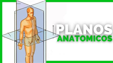 Ejes Y Planos Anatomicos Del Cuerpo Anatomia En Enfermeria Youtube