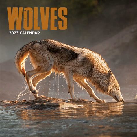 Wolves 2023 Calendar Ting Lords And Labradors