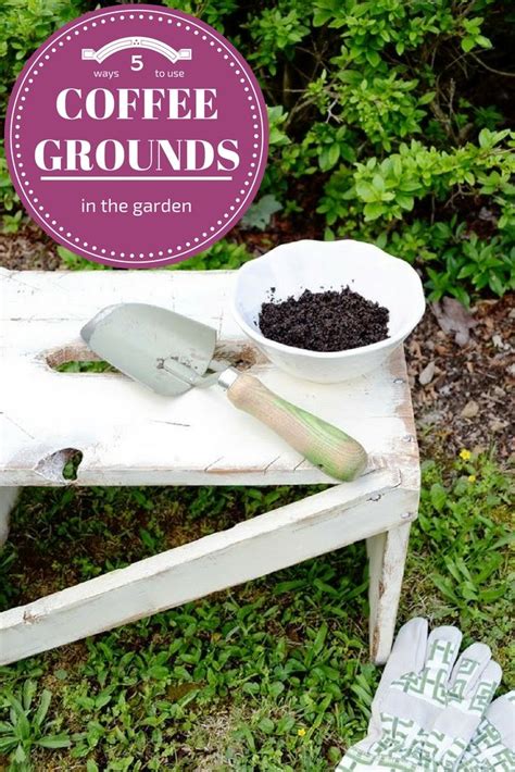 Let the tea steep overnight then use this (large doses of coffee grounds could be harmful to dogs, however, and because it's hard to say how much, it's best to avoid using them in your. 5 Ways To Use Coffee Grounds In The Garden (With images ...