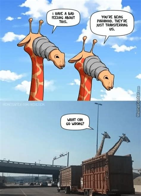 20 Giraffe Memes Funnyfoto Page 3
