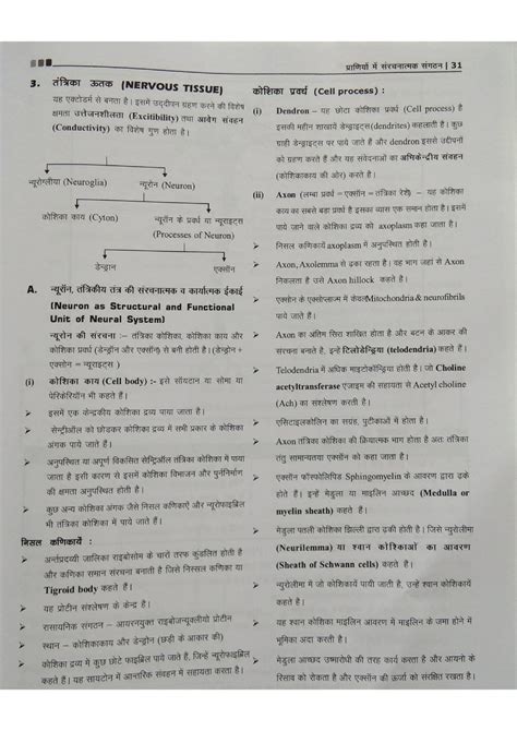 Nervous Tissue NOTE AND Questions Laggshsh Bhsjsjs StuDocu