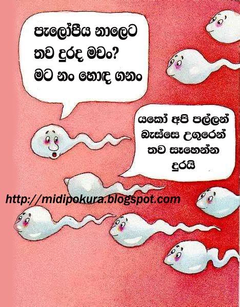 Sinhala Birthday Quotes Quotesgram