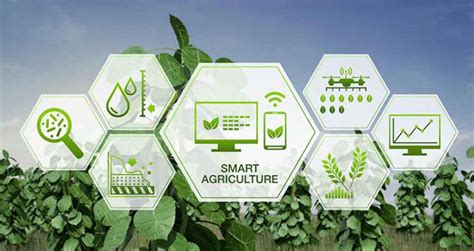 Africas Digital Agriculture Facilitating Inclusion For Smallholder