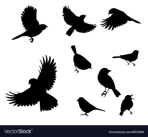 Silhouette Of Birds Royalty Free Vector Image Vectorstock