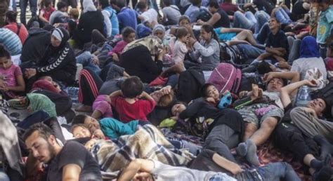 مفوضية شؤون اللاجئينإغلاق الحدود ليس حلا لأزمة اللاجئين أخبار الأمم المتحدة