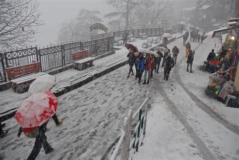 Photos Shimla Receives Seasons First Snowfall Temperatures Drop