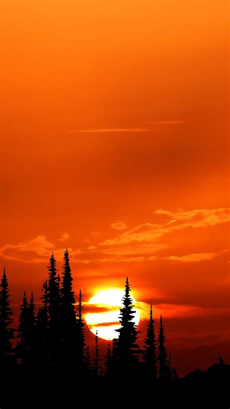 2160x3840 Relaxing Orange Sunset Evening 4k Sony Xperia X