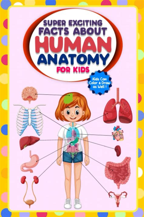 Buy Super Exciting Facts About Human Anatomy For Kids Easy To