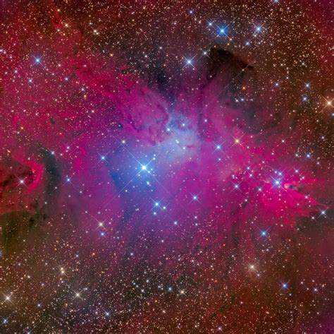 Fox Fur Nebula With 05m Newtons Chilescope Data