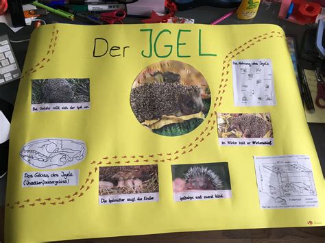 Plakat für referat gestalten (schule, präsentation. Pausenmärchen: Tiere im Winter