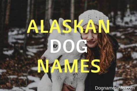 100 Good Alaskan Dog Names And Meanings 2022