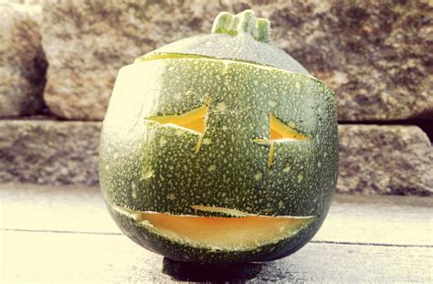 Check spelling or type a new query. How Long Will Carved Pumpkins Last Before They Rot?