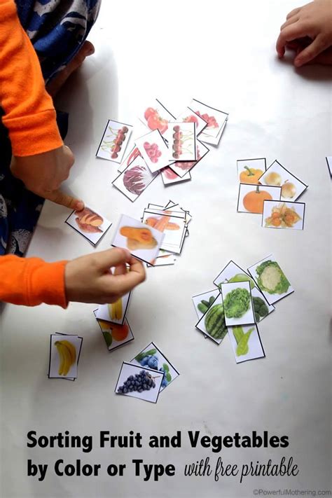 Sorting Fruit And Vegetables By Color With Free Printable Preschool