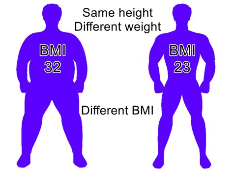 Bmi Body Mass Index Calculator