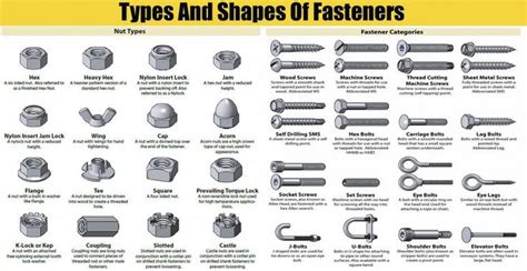 Types And Shapes Of Fasteners Nuts Screw Head And Washers