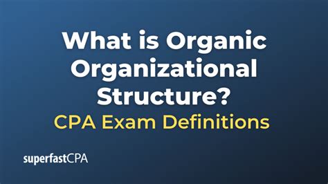 What Is Organic Organizational Structure