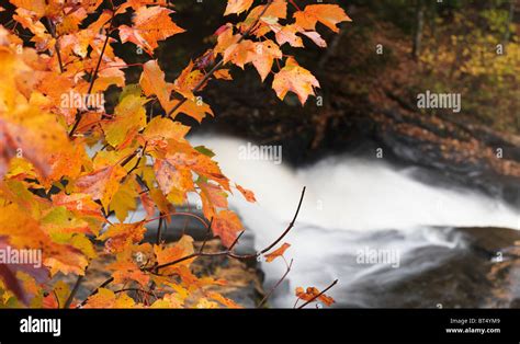 Cascade Waterfall Fall Nature Scenery Stubbs Falls Arrowhead